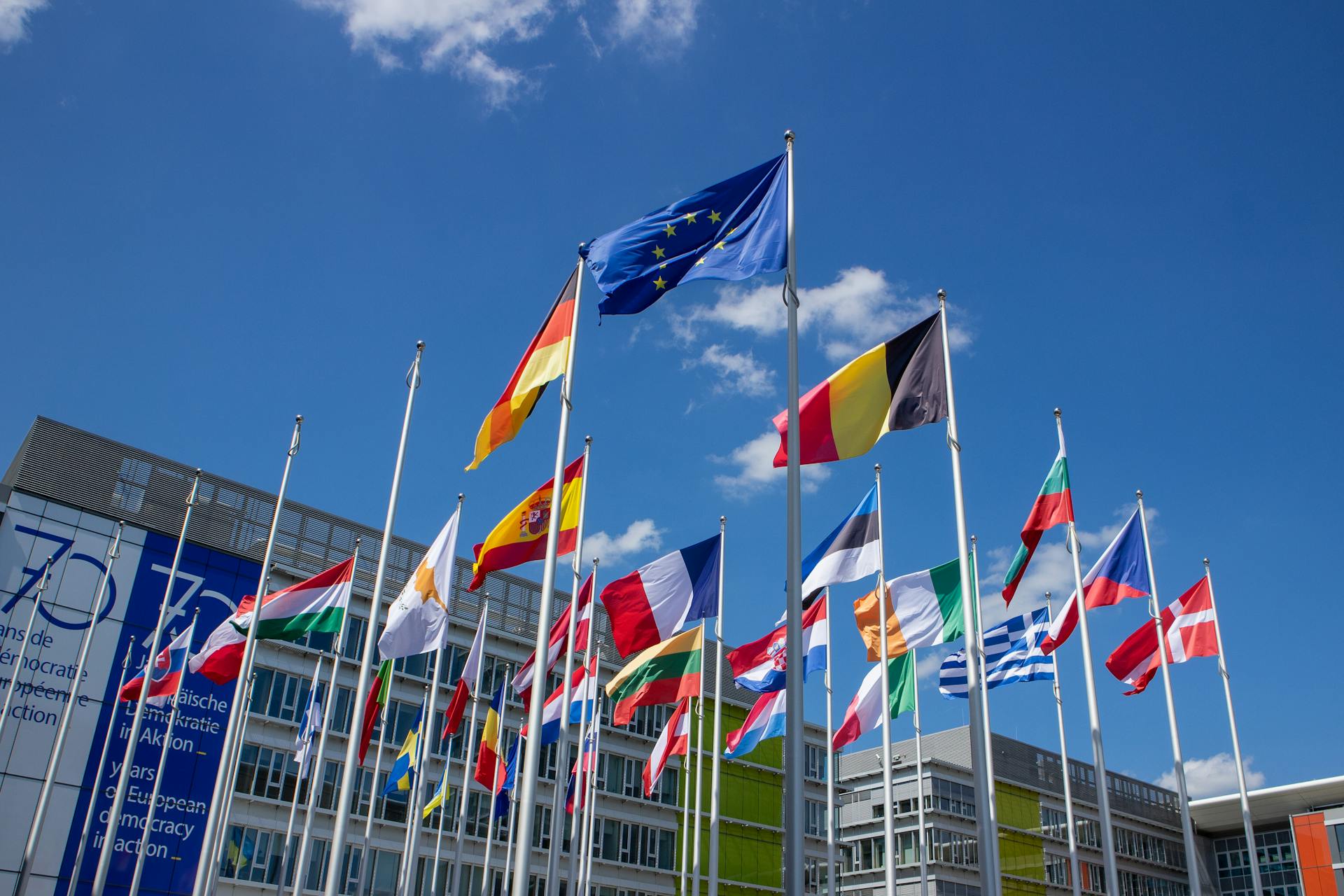 VAT Treatment of B2C and B2B Transactions with Simultaneous OSS Use and Local Registration in Austria